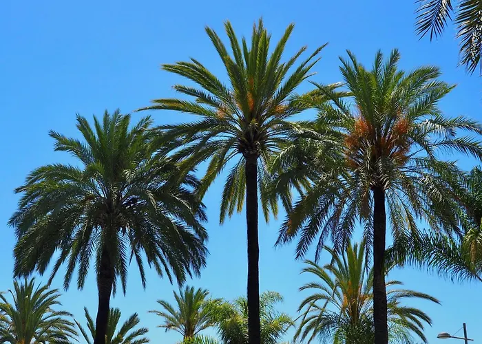 アパート Schoene Mit Tollem Ausblick By Interhome