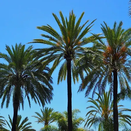 Apartment Schoene Mit Tollem Ausblick By Interhome
